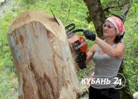 «Черноморский бобер» в Архипо-Осиповке