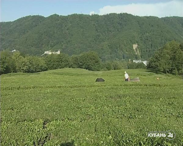 «Деловые факты»: экономика, перезагрузка