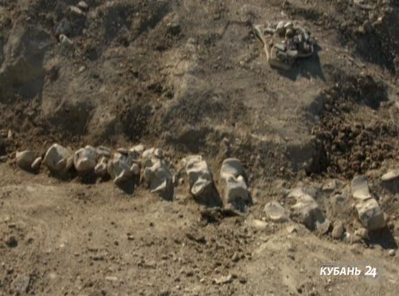 «Факты 24»: Вениамин Кондратьев провел совещание краевого оргкомитета «Победа», на участке подхода к Крымскому мосту нашли скелет древнего кита