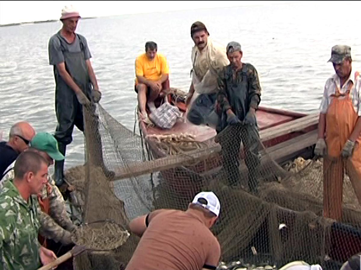 Спецрепортаж: Рыбоводство на Кубани