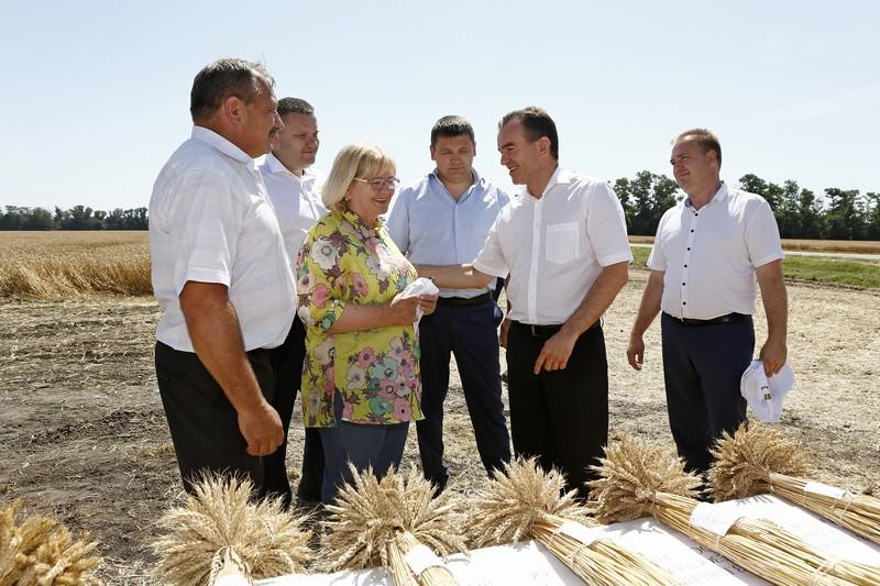 В Краснодарском крае намолотили около 700 тыс. тонн ячменя