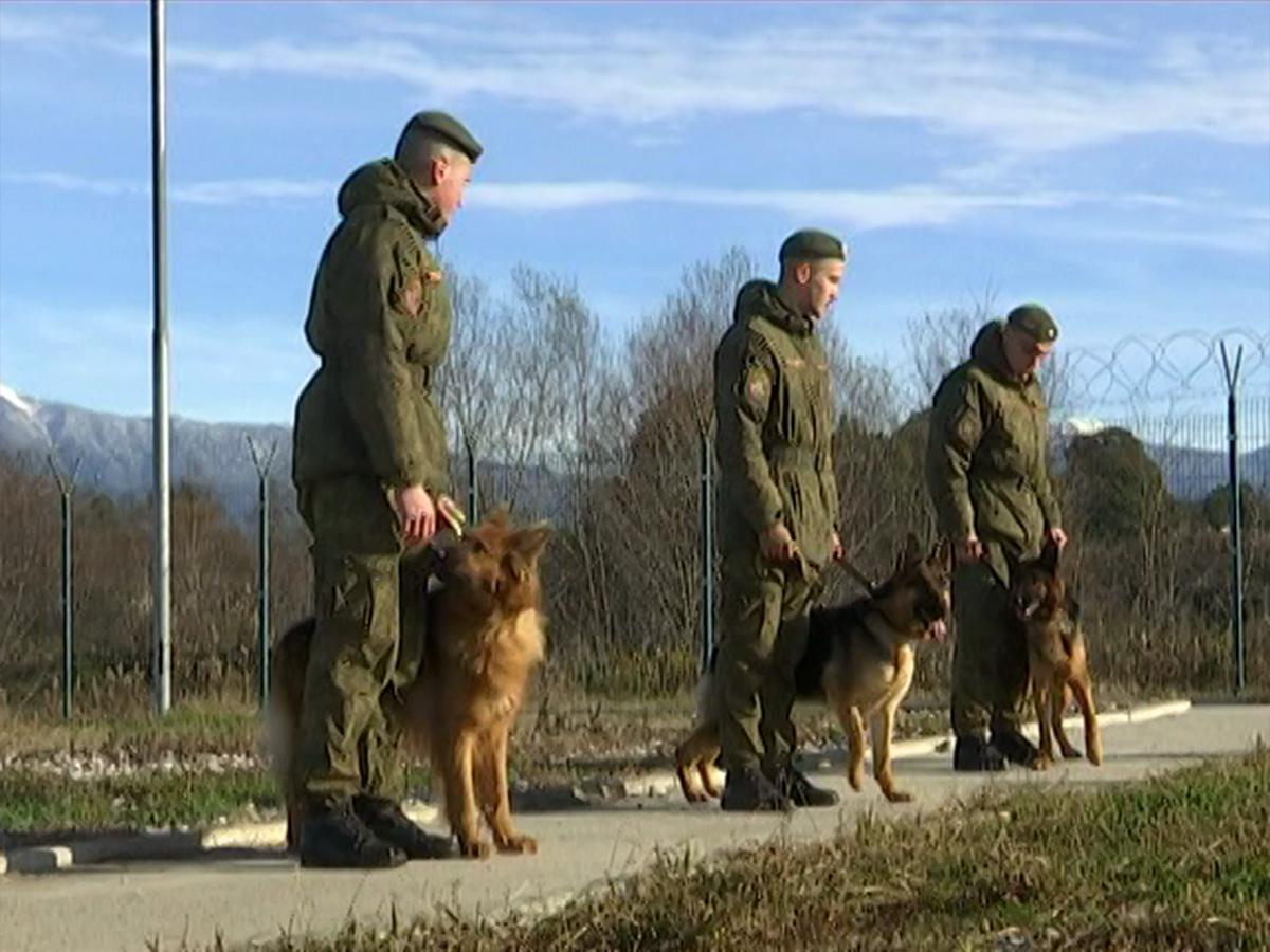 На российской военной базе в Абхазии появились караульные собаки