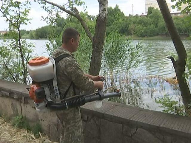 В Краснодаре экологи приступили к обработке озер спецпрепаратом