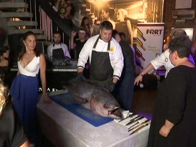 Впервые на Кубань доставили 100-килограммового тунца