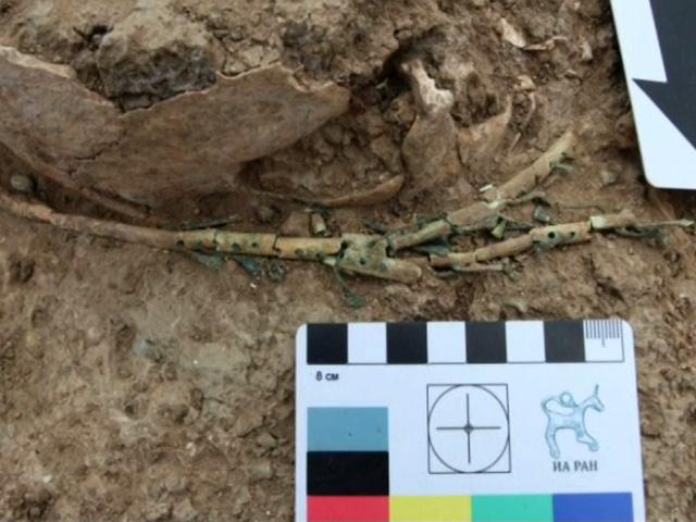 В Темрюкском районе ученые нашли фрагменты арфы