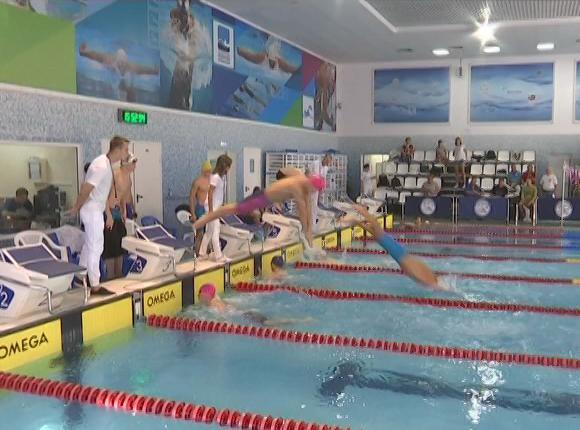 В Краснодаре завершился чемпионат края по плаванию