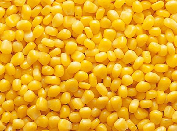 Павловский консервный завод вышел в лидеры по производству сладкой кукурузы