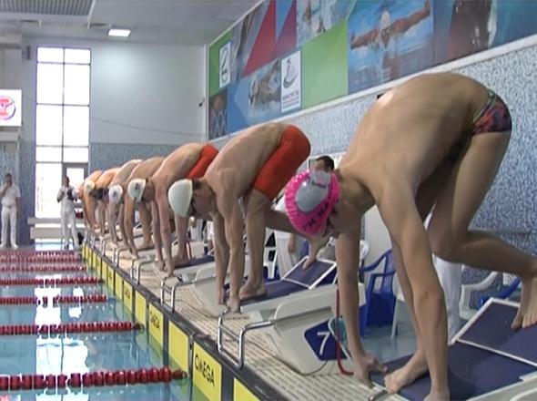 На Кубани прошел открытый турнир по плаванию памяти Анатолия Разночинцева