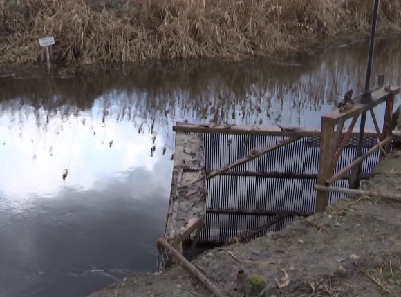 Участок реки в Павловском районе передали в аренду, жители против