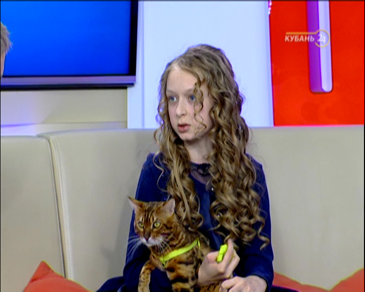 Фелинолог София Ступина: я начала изучать кошек, когда еще не ходила в школу