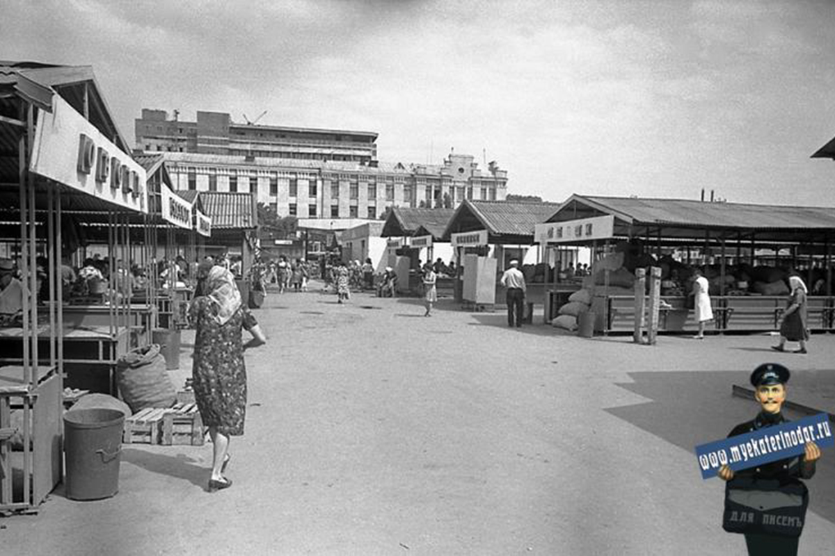 Скотский, он же Загородный, он же Колхозный: 145 лет Сенному рынку - 21  февраля, 2024 Статьи «Кубань 24»