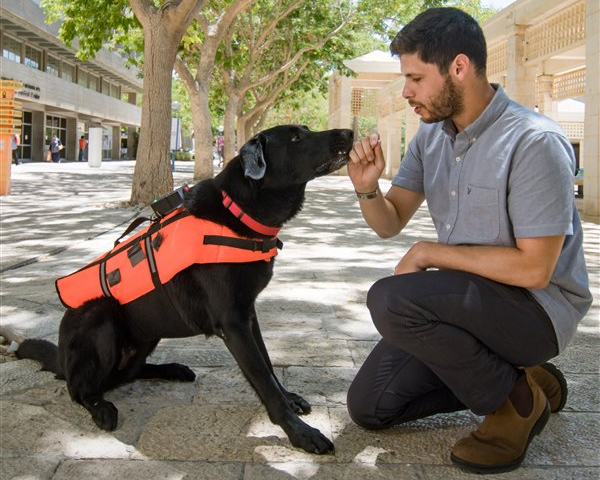 Собачья телепатия: это устройство позволит командовать псом молча