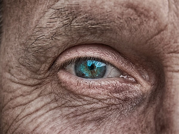 Сохранить зрение: офтальмолог назвала полезные для глаз продукты