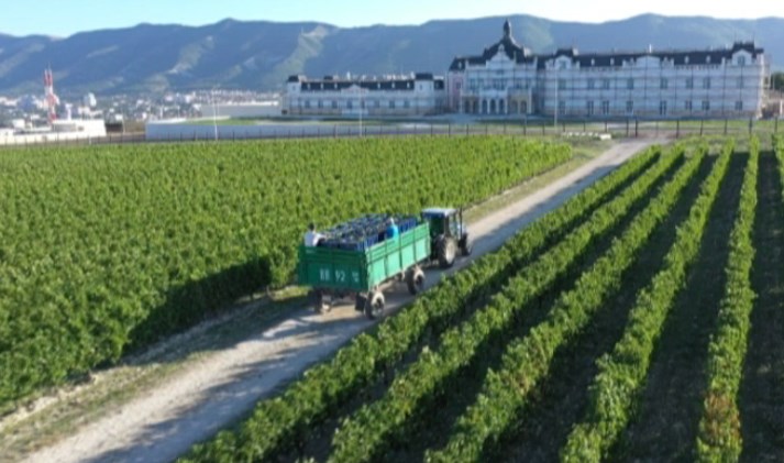 «Деловые факты»: компания по производству вина «Шато де Талю»
