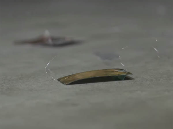 Ученые создали робота-таракана, которого нельзя раздавить