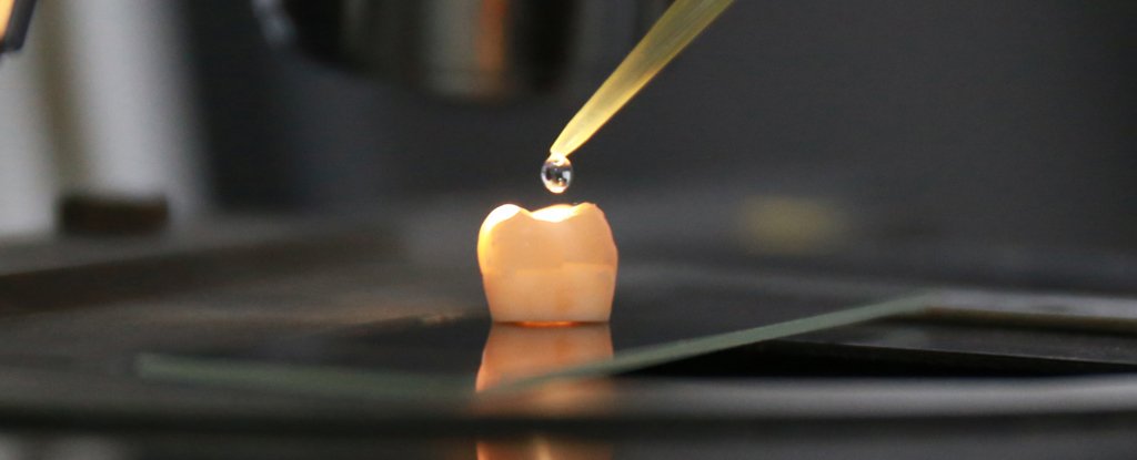 Лечение зубов: китайские ученые научились выращивать зубную эмаль