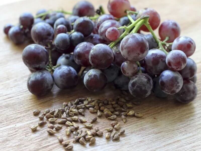Можно ли глотать виноградные косточки? Эксперты говорят — нужно!