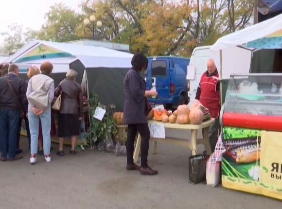 В Краснодарском крае начался сезон сбора тыквы