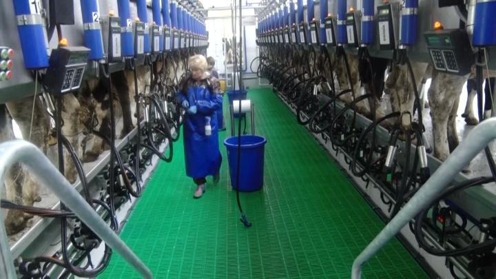 В Новокубанском районе за семь месяцев построили молочный комплекс