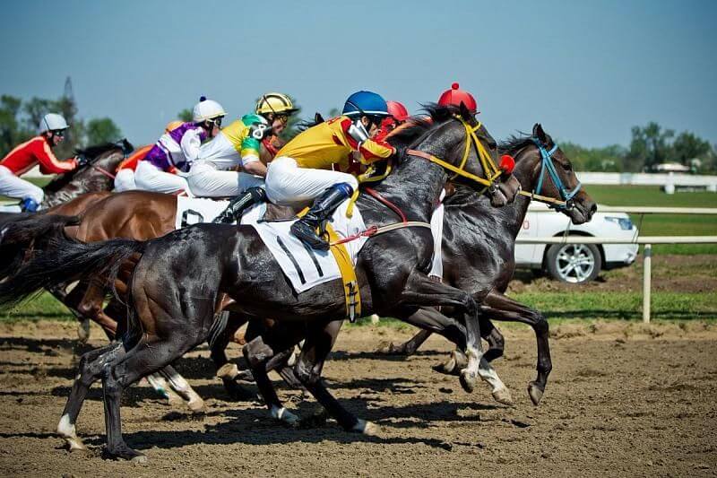 Вице-губернатор Андрей Коробка призвал популяризировать конный спорт на Кубани