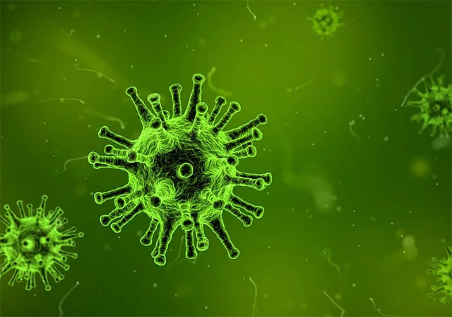 вирусы, коронавирус, 2019-nCoV, китайский, глобальное потепление
