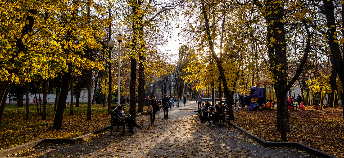 Нелегкий вопрос о зеленых легких: чего вам не хватает в парках Краснодара?