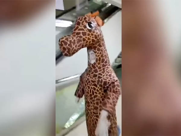 Китаянка решила спасти других от коронавируса при помощи костюма жирафа