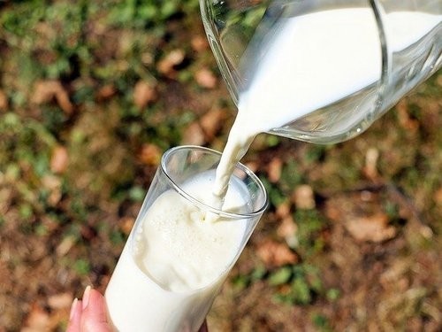 Ученые: употребление молока увеличивает риск развития рака молочной железы