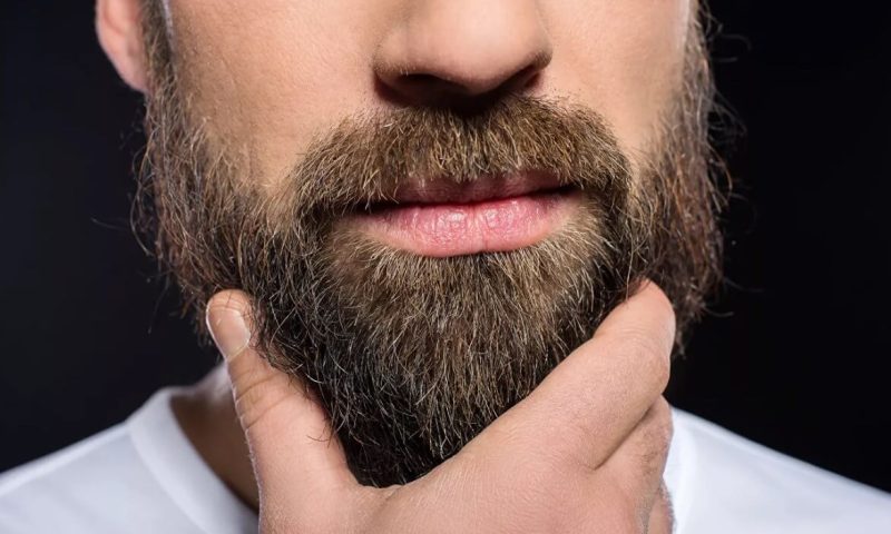 Исследование: в Краснодаре бороду и усы чаще носят бармены, дизайнеры и повара