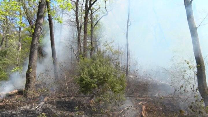 На Кубани авиация сбросила для тушения лесных пожаров более 200 тонн воды