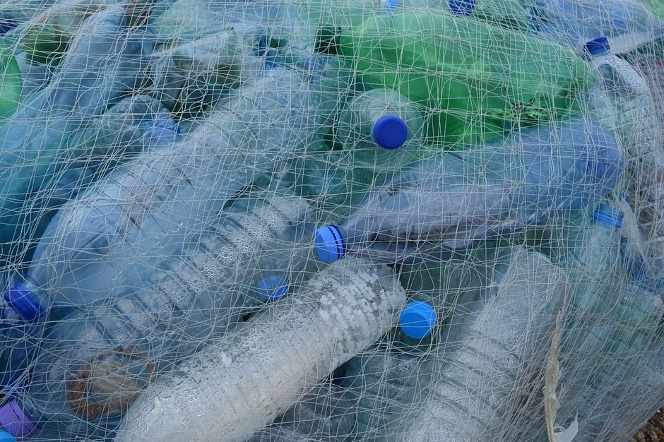 Французские ученые «научили» бактерии перерабатывать пластик