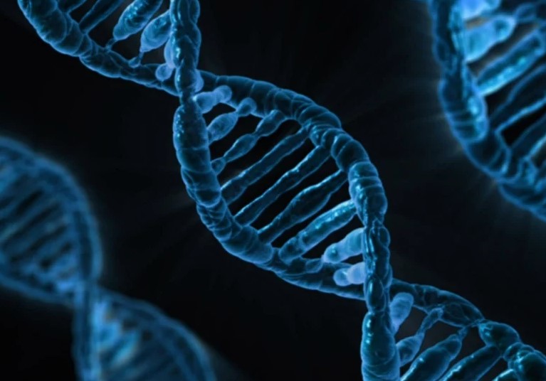 Малоподвижный образ жизни провоцирует мутации в ДНК