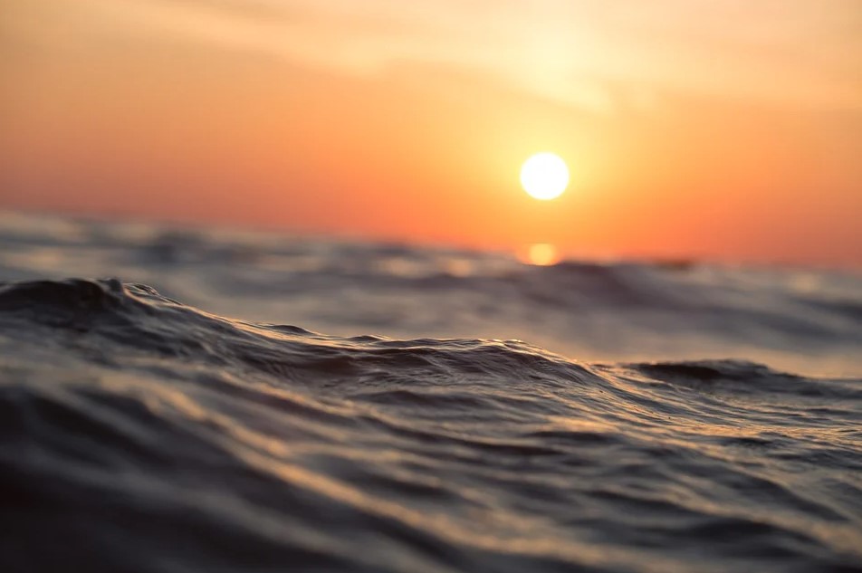 Эксперты вычислили, когда уровень мирового океана поднимется на 5 метров