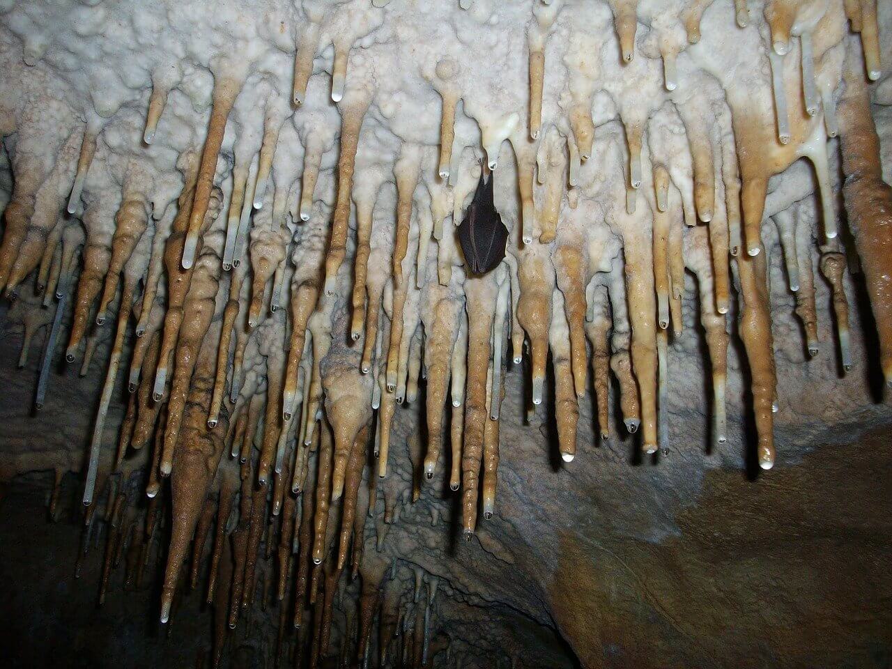 stalactites-323562_1280