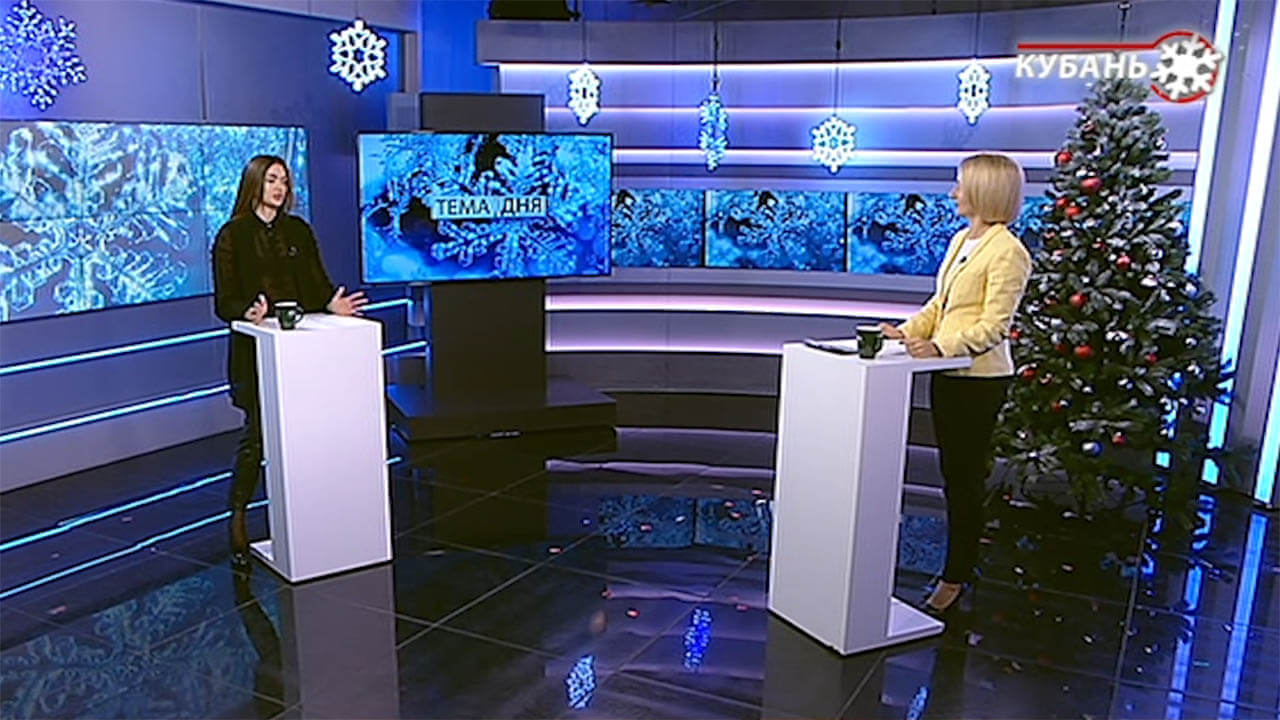 Лина Ефименко: можно купить качественную искусственную елку за 1 тыс. 500 рублей