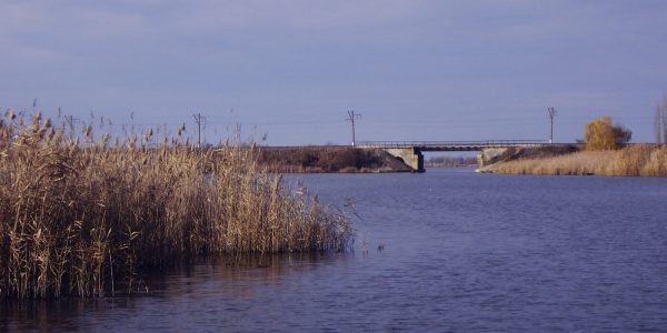 На Кубани несогласованные работы привели к перекрытию русла реки Бейсуг