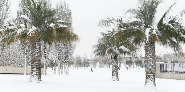 На Кубани объявили экстренное предупреждение из-за мокрого снега