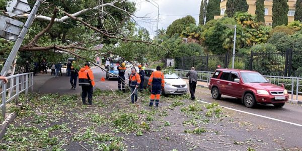 В Сочи городские службы устраняют последствия урагана