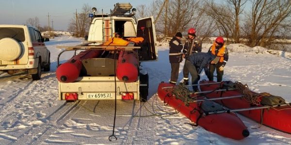 В Белореченском районе спасли двух застрявших в полынье лебедей