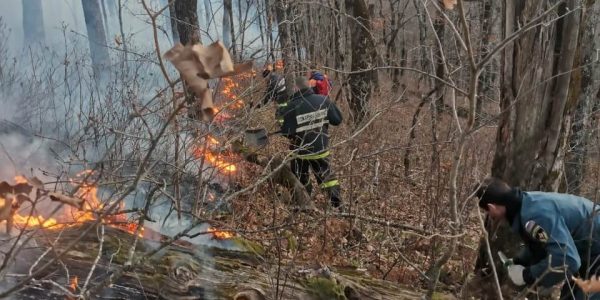 В Сочи горит лес в районе аула Малый Кичмай