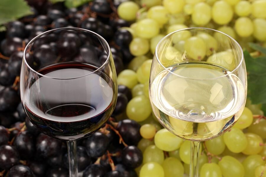 В Анапе создадут центр компетенции по виноградарству и виноделию