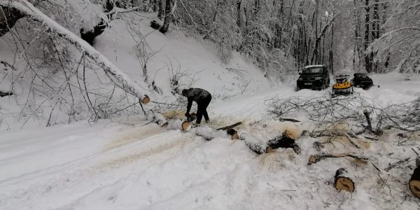 В Сочинском нацпарке расчистили дорогу на маршруте «Снежный»