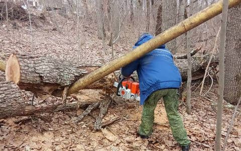 В горах Горячего Ключа упавшее дерево повредило газопровод