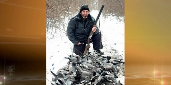 В лесах Туапсинского района браконьер убил около 200 голубей-вяхирей