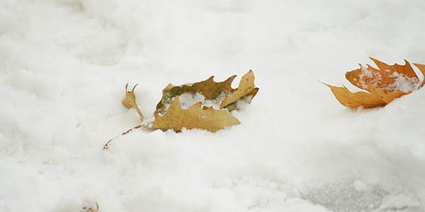 В Краснодаре проверят УК, на которые поступило много жалоб на уборку снега