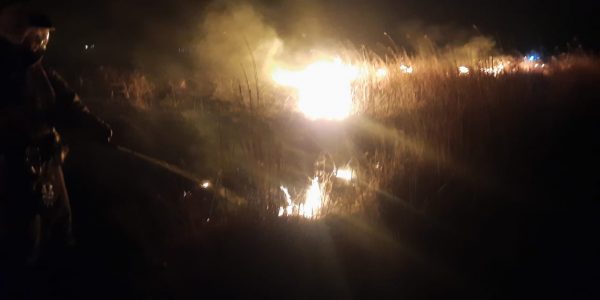 В Темрюкском районе площадь пожара в плавнях сократилась до 300 кв. метров