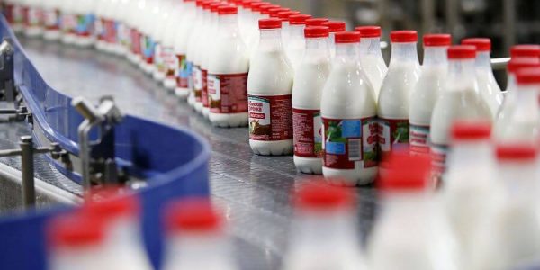 Кубань перевыполнила план по экспорту мясной и молочной продукции на 77%