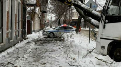 В центре Краснодара автобус с пассажирами влетел в дерево