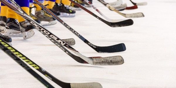 В Геленджике планируют создать хоккейную академию