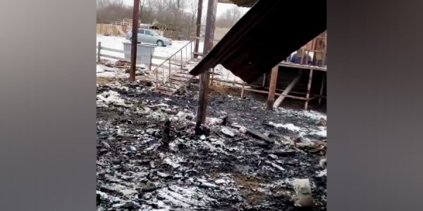 На Кубани сгорела экоферма «Коза-Хутор», животные в мороз оказались на улице